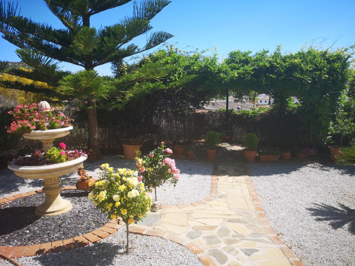 Villa Casa Las Fresas 알카우씬 외부 사진